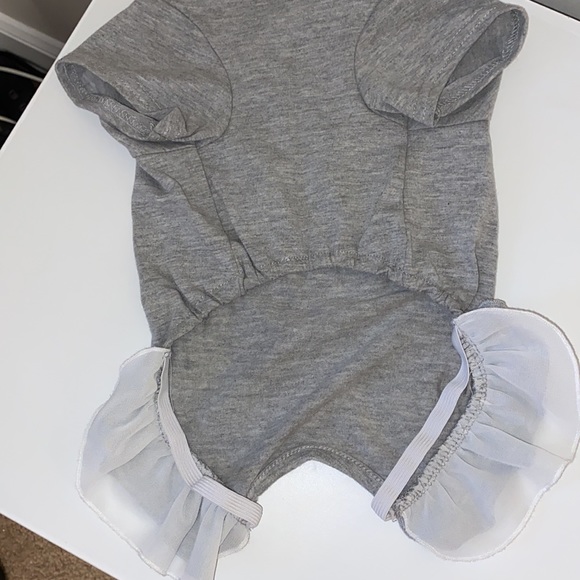 Dog Accessory Bundle - Picture 4 of 4